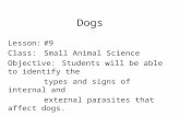 Dogs Lesson:#9 Class:Small Animal Science Objective:Students will be able to identify the types and signs of internal and external parasites that affect.