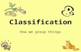 Classification How we group things. Why do we classify living things? We have about 1.5 million NAMED & classified species. There may be over 30 million.