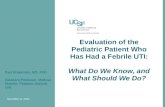 Paul Brakeman, MD, PhD Assistant Professor, Medical Director, Pediatric Dialysis Unit November 11, 2010 Evaluation of the Pediatric Patient Who Has Had.