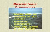 Maritime Forest Environments Develop under the influence of salt aerosols Restricted distribution Shear edge created by salt aerosols.