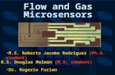 M.S. Roberto Jacobe Rodrigues (Ph.D. student) Flow and Gas Microsensors Dr. Rogerio Furlan B.S. Douglas Melman (M.S. student)