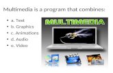Multimedia is a program that combines: a. Text b. Graphics c. Animations d. Audio e. Video.