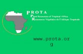 Www.prota.org. PEOPLE AND PLANTS Tropical Africa houses one of the remaining complexes of tropical plant diversity World major regions of plant diversity.