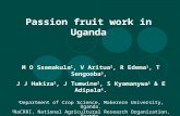 Passion fruit work in Uganda M O Ssemakula 1, V Aritua 2, R Edema 1, T Sengooba 3, J J Hakiza 2, J Tumwine 2, S Kyamanywa 1 & E Adipala 4. 1 Department.