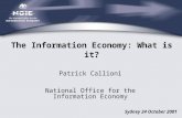 Patrick Callioni National Office for the Information Economy The Information Economy: What is it? Sydney 24 October 2001.