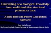 Unreveiling new biological knowledge from multiresolution structural proteomics data: A Data Base and Pattern Recognition Approach José María Carazo BioComputing.