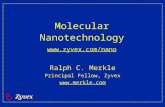 Molecular Nanotechnology   Ralph C. Merkle Principal Fellow, Zyvex .