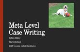 Meta Level Case Writing Jeffrey Miller Marist School 2015 Georgia Debate Institutes.
