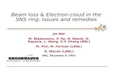 Copyright, 1996 © Dale Carnegie & Associates, Inc. Beam loss & Electron-cloud in the SNS ring: Issues and remedies Jie Wei M. Blaskiewicz, P. He, H. Hseuh,