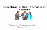 S Launching a High Technology Venture Patterns of Entrepreneurship Chapter 13.
