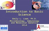 Introduction to Basic Science Emily L. Lowe, Ph.D. Microbiology, Immunology and Molecular Genetics UCLA.