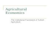Agricultural Economics The Institutional Framework of Turkish Agriculture.