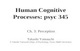 Human Cognitive Processes: psyc 345 Ch. 3: Perception Takashi Yamauchi © Takashi Yamauchi (Dept. of Psychology, Texas A&M University)