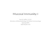 Mucosal Immunity-I Sarah Gaffen, Ph.D. Division of Rheumatology & Clinical Immunology Spring 2009 sig65@pitt.edu.