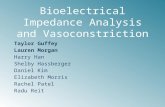 Bioelectrical Impedance Analysis and Vasoconstriction Taylor Guffey Lauren Morgan Harry Han Shelby Hassberger Daniel Kim Elizabeth Morris Rachel Patel.