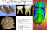 High performance Computing for Palaeontology 1.3D quantitative imaging 2.Non Destructive 3.Objects up to 30 cm diameter 4.Resolutions down to 0.25  m.