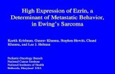 High Expression of Ezrin, a Determinant of Metastatic Behavior, in Ewing’s Sarcoma Kartik Krishnan, Gaurav Khanna, Stephen Hewitt, Chand Khanna, and Lee.