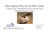 Managing Big Scientific Data Capturing, Integrating and Presenting Mouse Data at MGI Cynthia Smith Canberra April 2010  Mouse Genome.