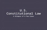 U.S. Constitutional Law A Glimpse of A Few Cases.