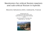 Neutronics for critical fission reactors and sub-critical fission in hybrids Massimo Salvatores (CEA, Cadarache, France) WORKSHOP ON FUSION FOR NEUTRONS.
