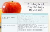 Biological Psychology Revision Biological Psychology Stress as a Bodily Response Key Terms Sympathomedullary Pathway (response to ACUTE stress) Pituitary.