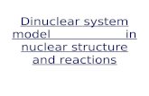 Dinuclear system model in nuclear structure and reactions.