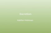 Excretion Kabilan Mahesan. Define Excretion Excretion is any process that removes the body of toxic substances, metabolic waste products and excess ions.