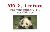 BIO 2, Lecture 13 FIGHTING ENTROPY II: RESPIRATION.