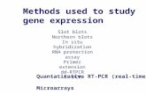Methods used to study gene expression Slot blots Northern blots In situ hybridization RNA protection assay Primer extension dd-RTPCR RT-PCR Quantatitative.