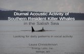 Diurnal Acoustic Activity of Southern Resident Killer Whales in the Salish Sea Looking for daily patterns in vocal activity Laura Christoferson Energy.