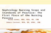 Nephrology Nursing Scope and Standards of Practice: The First Piece of the Nursing Process Norma Gomez, MBA, MSN, RN, CNN Debra Castner, MSN, RN, APNC,