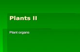 Plants II Plant organs.  Root system – roots  Shoot system – stem and leaves  Vegetative organs – (allow to live and grow): roots, leaves, stem  Reproduction: