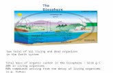 The Biosphere Total mass of organic carbon in the biosphere : 5E18 g C 20% in living organisms 80% compounds arising from the decay of living organisms.