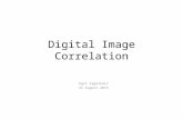 Digital Image Correlation Egil Fagerholt 25 August 2015.