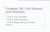 Chapter 10: Cell Growth and Division 10-1 Cell Growth 10-2 Cell Division 10-3 Regulating the Cell Cycle.
