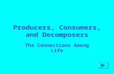 Producers, Consumers, and Decomposers The Connections Among Life.