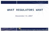 1 WHAT REGULATORS WANT November 13, 2007. 2 Disclaimer The opinions expressed in this presentation are the opinions of the presenters and should not be.