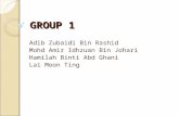 GROUP 1 Adib Zubaidi Bin Rashid Mohd Amir Idhzuan Bin Johari Hamilah Binti Abd Ghani Lai Moon Ting.
