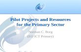 Pilot Projects and Resources for the Primary Sector Norman C. Borg (EO ICT Primary)