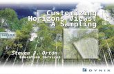 Customizing Horizons Views: A Sampling Steven J. Orton Education Services.