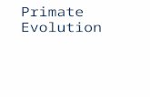 Primate Evolution. Today’s Objectives: investigate and understand how primates have changed through time, including: –Examining fossil records –Recognizing.