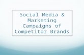 Social Media & Marketing Campaigns of Competitor Brands.
