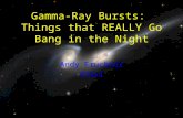 Gamma-Ray Bursts: Things that REALLY Go Bang in the Night Andy Fruchter STScI.