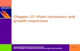 17-1 Copyright  2005 McGraw-Hill Australia Pty Ltd PPTs t/a Biology: An Australian focus 3e by Knox, Ladiges, Evans and Saint Chapter 17: Plant hormones.