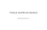 TISSUE DOPPLER BASICS DR BIJILESH U. Tissue Doppler imaging (TDI) is a relatively new echocardiographic technique that uses Doppler principles to measure.