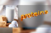 What are proteins? Enzymes,antibodies,many hormones,and substances that help the blood to clot,are all proteins. Enzymes,antibodies,many hormones,and.