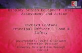 Display Screen Equipment (DSE) - Assessment and Action Richard Fontana Principal Officer - Food & Safety Environmental Health & Consumer Protection Division.