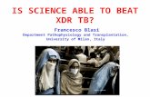 IS SCIENCE ABLE TO BEAT XDR TB? Francesco Blasi Department Pathophysiology and Transplantation, University of Milan, Italy.