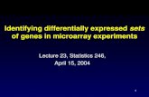 1 Identifying differentially expressed sets of genes in microarray experiments Lecture 23, Statistics 246, April 15, 2004.