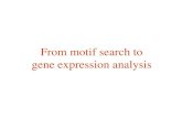 From motif search to gene expression analysis. Finding TF targets using a bioinformatics approach Scenario 1 : Binding motif is known (easier case) Scenario.